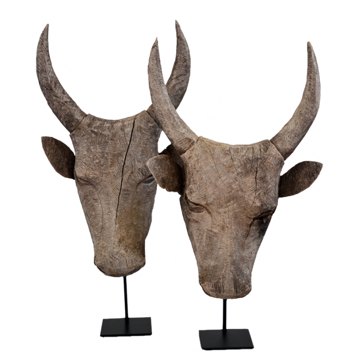 Simply Safari Out of Africa Earthly Elegance Of South African